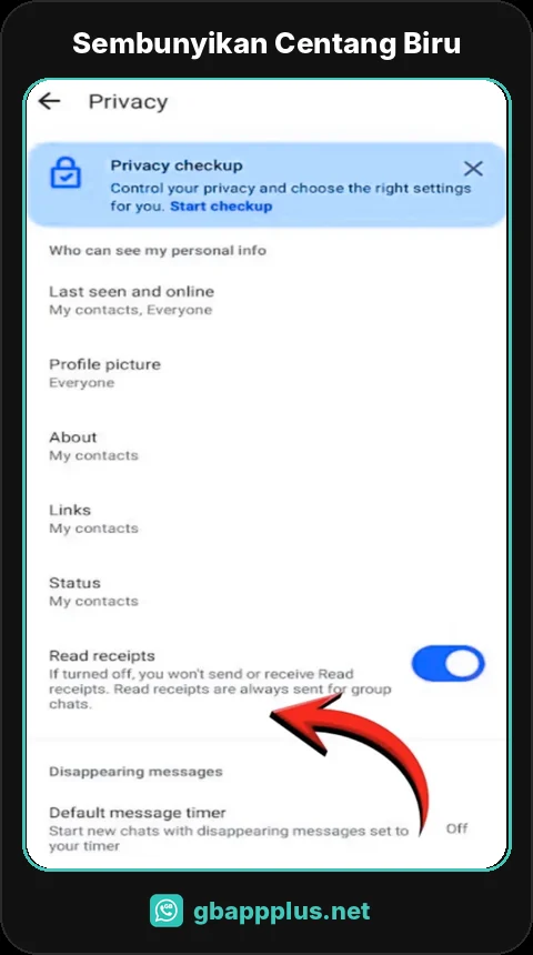 Sembunyikan centang biru di GB WhatsApp